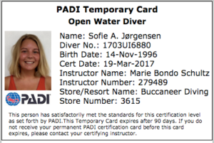 Open Water Diver certificate